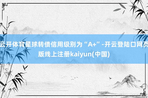 云开体育星球转债信用级别为“A+”-开云登陆口网页版线上注册kaiyun(中国)
